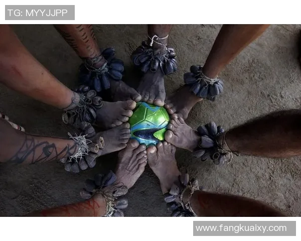 足球岛丛林火灾下载引发的生态危机与保护措施探讨